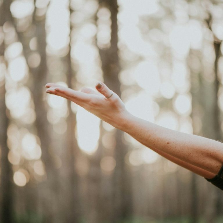 experiencia Mano extendida hacia un lado en un bosque con luz suave de fondo.